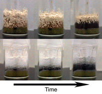 Graphical abstract: Crystal to crystal transformation in the solid state