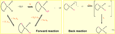 Graphical abstract: Influence of the chloride concentration on ligand substitution reactions of [Pt(SMC)Cl2] with biologically relevant nucleophiles