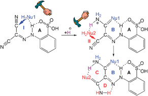Graphical abstract: Hydrogen bond assisted activation of a dinitrile towards nucleophilic attack