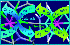 Graphical abstract: Designing organometallic compounds for catalysis and therapy