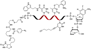 Graphical abstract: Dressed for success – applying chemistry to modulate aptamer functionality