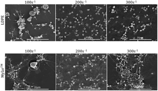 Graphical abstract: Decreased tissue factor expression with increased CD11b upregulation on elastin-based biomaterial coatings