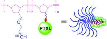 Graphical abstract: Well-defined diblock brush polymer–drug conjugates for sustained delivery of paclitaxel