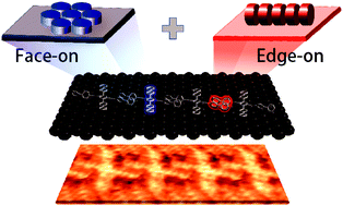 Graphical abstract: Biaxial aromatics with face-on/edge-on stacking adaptability: an STM/STS study of 1D nanowires assembled via rotatable ethynyls