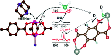 Graphical abstract: Water interactions in metal organic frameworks