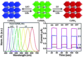 Graphical abstract: All-inorganic cesium lead halide perovskite nanocrystals for photodetector applications