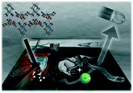 Graphical abstract: A DAC tartrate-based gelator system featuring markedly improved gelation properties: enhancing lifetime and functionality of gel networks