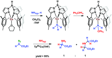 Graphical abstract: Copper-induced ammonia N–H functionalization