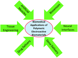 Graphical abstract: Electrically conductive polymers and composites for biomedical applications