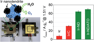 Graphical abstract: Oxide-supported Ir nanodendrites with high activity and durability for the oxygen evolution reaction in acid PEM water electrolyzers