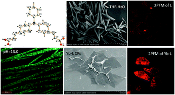 Graphical abstract: Effect of solvent, pH and metal ions on the self-assembly process and optical properties of an A–π–D–π–A type triphenylamine carboxylic acid derivative