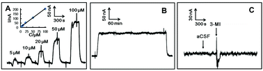 Graphical abstract: Online electrochemical system as an in vivo method to study dynamic changes of ascorbate in rat brain during 3-methylindole-induced olfactory dysfunction