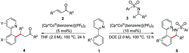 Graphical abstract: C–H functionalization by high-valent Cp*Co(iii) catalysis