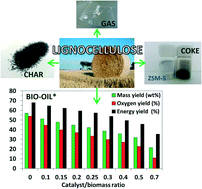 Graphical abstract: Assessing biomass catalytic pyrolysis in terms of deoxygenation pathways and energy yields for the efficient production of advanced biofuels