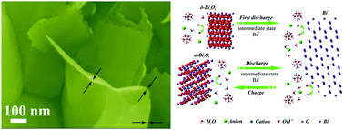 Graphical abstract: Bismuth oxide: a versatile high-capacity electrode material for rechargeable aqueous metal-ion batteries