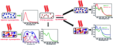 Graphical abstract: Broadband enhancement in absorption cross-section of N719 dye using different anisotropic shaped single crystalline silver nanoparticles