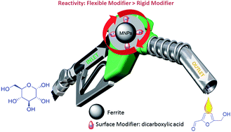 Graphical abstract: Surface modification of ferrite nanoparticles with dicarboxylic acids for the synthesis of 5-hydroxymethylfurfural: a novel and green protocol