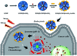 Graphical abstract: Synthesis of a core/satellite-like multifunctional nanocarrier for pH- and NIR-triggered intracellular chemothermal therapy and tumor imaging