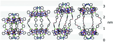 Graphical abstract: PdII2L4-type coordination cages up to three nanometers in size