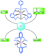 Graphical abstract: Phosphine-pyridonate ligands containing octahedral ruthenium complexes: access to esters and formic acid