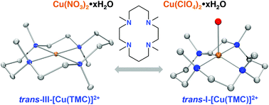 Graphical abstract: Stereochemistry of metal tetramethylcyclam complexes directed by an unexpected anion effect