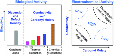 Graphical abstract: Informing rational design of graphene oxide through surface chemistry manipulations: properties governing electrochemical and biological activities