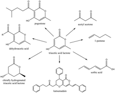 Graphical abstract: Bioprivileged molecules: creating value from biomass