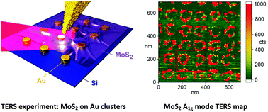 Graphical abstract: Giant gap-plasmon tip-enhanced Raman scattering of MoS2 monolayers on Au nanocluster arrays