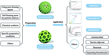 Graphical abstract: Design and pharmaceutical applications of porous particles