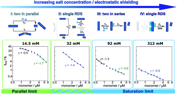 Graphical abstract: Modulation of electrostatic interactions to reveal a reaction network unifying the aggregation behaviour of the Aβ42 peptide and its variants