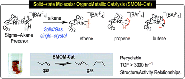 Graphical abstract: Solid-state molecular organometallic chemistry. Single-crystal to single-crystal reactivity and catalysis with light hydrocarbon substrates