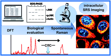 Graphical abstract: Imaging drug uptake by bioorthogonal stimulated Raman scattering microscopy