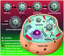 Graphical abstract: NIR light-activated dual-modality cancer therapy mediated by photochemical internalization of porous nanocarriers with tethered lipid bilayers