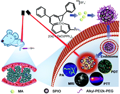 Graphical abstract: Metalla-aromatic loaded magnetic nanoparticles for MRI/photoacoustic imaging-guided cancer phototherapy