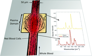 Graphical abstract: In-line whole blood fractionation for Raman analysis of blood plasma