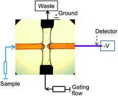Graphical abstract: Flow-gated capillary electrophoresis: a powerful technique for rapid and efficient chemical separation