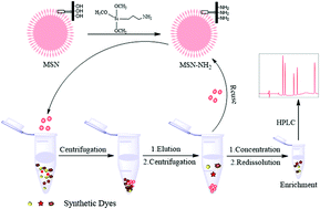 Graphical abstract: Amino-functionalized mesoporous silica nanospheres (MSN-NH2) as sorbent for extraction and concentration of synthetic dyes from foodstuffs prior to HPLC analysis