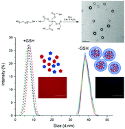 Graphical abstract: Degradable redox-responsive disulfide-based nanogel drug carriers via dithiol oxidation polymerization