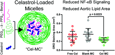 Graphical abstract: Celastrol-loaded PEG-b-PPS nanocarriers as an anti-inflammatory treatment for atherosclerosis