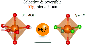 Graphical abstract: Controlled hydroxy-fluorination reaction of anatase to promote Mg2+ mobility in rechargeable magnesium batteries