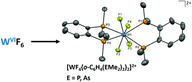 Graphical abstract: Neutral and cationic tungsten(vi) fluoride complexes with tertiary phosphine and arsine coordination