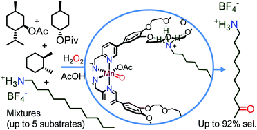 Graphical abstract: Enzyme-like substrate-selectivity in C–H oxidation enabled by recognition