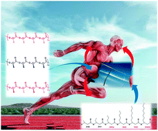 Graphical abstract: Polyester elastomers for soft tissue engineering