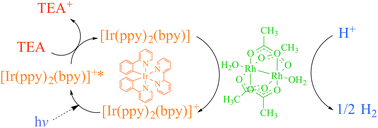 Graphical abstract: Intrinsic hydrogen evolution capability and a theoretically supported reaction mechanism of a paddlewheel-type dirhodium complex