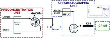 Graphical abstract: Online solid phase extraction-HPLC-ICP-MS system for mercury and methylmercury preconcentration using functionalised carbon nanotubes for their determination in dietary supplements