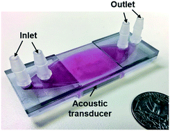 Graphical abstract: Plastic-based acoustofluidic devices for high-throughput, biocompatible platelet separation