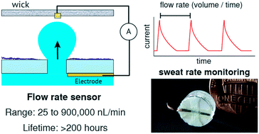 Graphical abstract: Digital nanoliter to milliliter flow rate sensor with in vivo demonstration for continuous sweat rate measurement