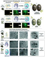 Graphical abstract: 3D quantum theranosomes: a new direction for label-free theranostics