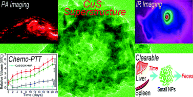 Graphical abstract: An easy-to-fabricate clearable CuS-superstructure-based multifunctional theranostic platform for efficient imaging guided chemo-photothermal therapy