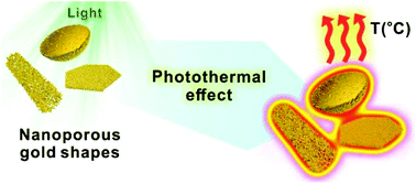 Graphical abstract: Shape-dependent thermo-plasmonic effect of nanoporous gold at the nanoscale for ultrasensitive heat-mediated remote actuation